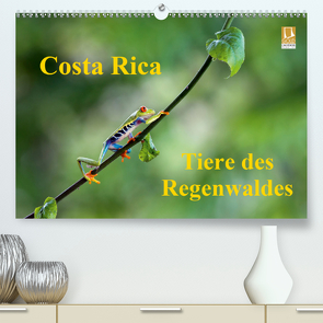 Costa Rica – Tiere des Regenwaldes (Premium, hochwertiger DIN A2 Wandkalender 2020, Kunstdruck in Hochglanz) von Akrema-Photography