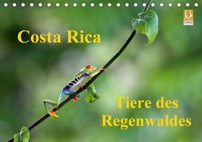 Costa Rica – Tiere des Regenwaldes (Tischkalender 2018 DIN A5 quer) von Akrema-Photography