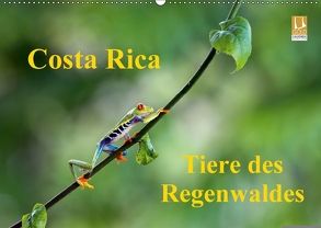 Costa Rica – Tiere des Regenwaldes (Wandkalender 2018 DIN A2 quer) von Akrema-Photography