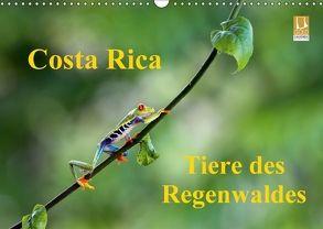 Costa Rica – Tiere des Regenwaldes (Wandkalender 2018 DIN A3 quer) von Akrema-Photography