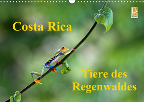 Costa Rica – Tiere des Regenwaldes (Wandkalender 2020 DIN A3 quer) von Akrema-Photography