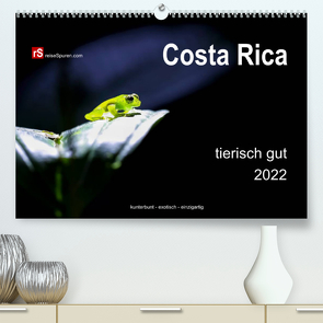 Costa Rica tierisch gut 2022 (Premium, hochwertiger DIN A2 Wandkalender 2022, Kunstdruck in Hochglanz) von Bergwitz,  Uwe