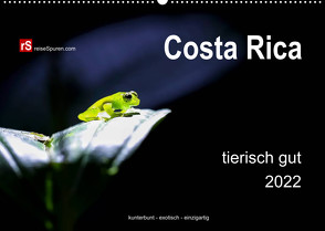 Costa Rica tierisch gut 2022 (Wandkalender 2022 DIN A2 quer) von Bergwitz,  Uwe