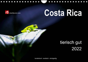 Costa Rica tierisch gut 2022 (Wandkalender 2022 DIN A4 quer) von Bergwitz,  Uwe