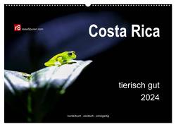 Costa Rica tierisch gut 2024 (Wandkalender 2024 DIN A2 quer), CALVENDO Monatskalender von Bergwitz,  Uwe