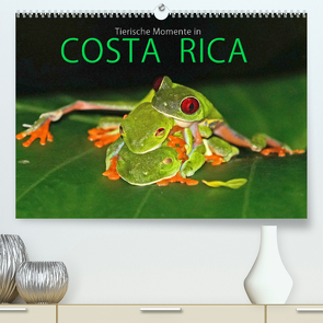 COSTA RICA – Tierische Momente (Premium, hochwertiger DIN A2 Wandkalender 2022, Kunstdruck in Hochglanz) von Matziol,  Michael