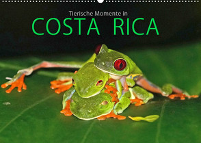 COSTA RICA – Tierische Momente (Wandkalender 2022 DIN A2 quer) von Matziol,  Michael