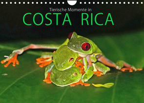 COSTA RICA – Tierische Momente (Wandkalender 2022 DIN A4 quer) von Matziol,  Michael