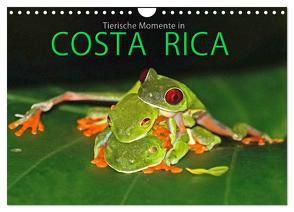 COSTA RICA – Tierische Momente (Wandkalender 2024 DIN A4 quer), CALVENDO Monatskalender von Matziol,  Michael