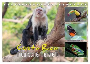 Costa Rica – Tropische Tierwelt (Tischkalender 2024 DIN A5 quer), CALVENDO Monatskalender von Eßer,  Kevin