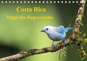 Costa Rica – Vögel des Regenwaldes (Tischkalender 2018 DIN A5 quer) von Akrema-Photography