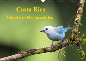 Costa Rica – Vögel des Regenwaldes (Wandkalender 2018 DIN A3 quer) von Akrema-Photography