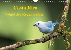 Costa Rica – Vögel des Regenwaldes (Wandkalender 2018 DIN A4 quer) von Akrema-Photography