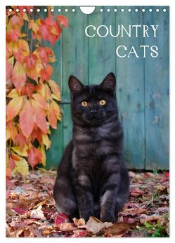 COUNTRY CATS (Wandkalender 2024 DIN A4 hoch), CALVENDO Monatskalender von Menden,  Katho