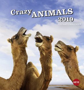 Crazy Animals Postkartenkalender – Kalender 2019 von Heye