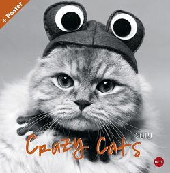 Crazy Cats Broschurkalender – Kalender 2019 von Heye