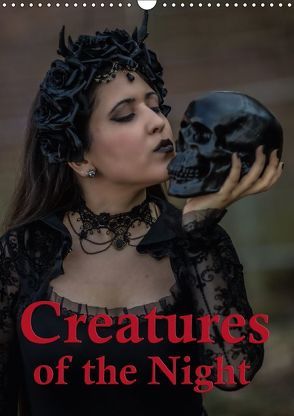 Creatures of the Night – Menschen in der Nacht (Wandkalender 2018 DIN A3 hoch) von Will,  Hans