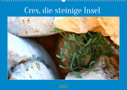 Cres, die steinige Insel (Wandkalender 2023 DIN A2 quer) von P,  H