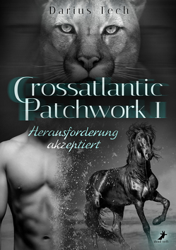 Crossatlantic Patchwork 1: Herausforderung akzeptiert von Tech,  Darius