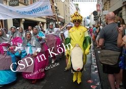 CSD in Köln – Freiheit für die Liebe (Wandkalender 2019 DIN A2 quer) von Groos,  Ilka