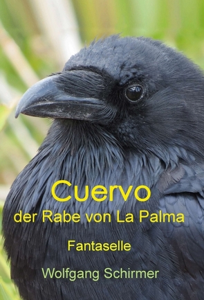 Cuervo – der Rabe von La Palma von Schirmer,  Wolfgang