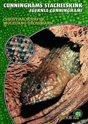 Cunninghams Stachelskink von Grossmann,  Wolfgang, Schaefer,  Christian