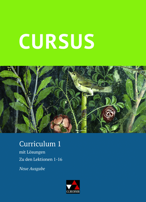 Cursus – Neue Ausgabe / Cursus – Neue Ausgabe Curriculum 1 von Hotz,  Michael, Maier,  Friedrich, Thiel,  Werner, Wilhelm,  Andrea