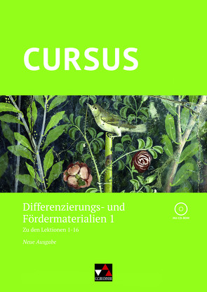 Cursus – Neue Ausgabe / Cursus – Neue Ausgabe Differenzierungsmat. 1 von Auer,  Franz, Auer,  Petra, Hotz,  Michael, Maier,  Friedrich, Schmidt,  Björn