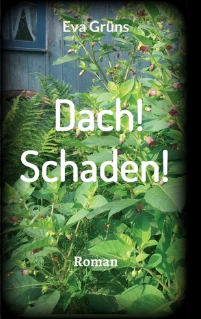 Dach! Schaden! von Grüns,  Eva