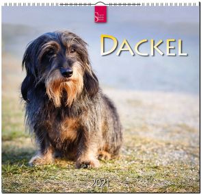 Dackel