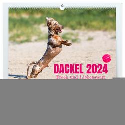 DACKEL 2024 Frech und Liebenwert (hochwertiger Premium Wandkalender 2024 DIN A2 quer), Kunstdruck in Hochglanz von Mirsberger tierpfoto,  Annett