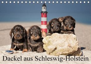 Dackel aus Schleswig-Holstein (Tischkalender 2018 DIN A5 quer) von Leirich,  Monika