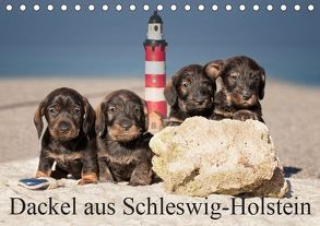 Dackel aus Schleswig-Holstein (Tischkalender 2019 DIN A5 quer) von Leirich,  Monika