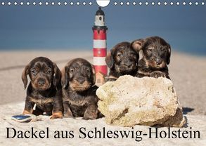 Dackel aus Schleswig-Holstein (Wandkalender 2018 DIN A4 quer) von Leirich,  Monika