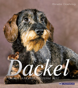 Dackel von Doering,  Anette