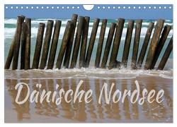 Dänische Nordsee (Wandkalender 2024 DIN A4 quer), CALVENDO Monatskalender von Reichenauer,  Maria