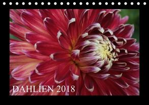 Dahlien 2018 (Tischkalender 2018 DIN A5 quer) von Pustolla,  Astrid