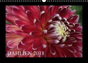 Dahlien 2018 (Wandkalender 2018 DIN A3 quer) von Pustolla,  Astrid