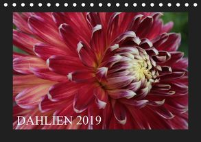 Dahlien 2019 (Tischkalender 2019 DIN A5 quer) von Pustolla,  Astrid