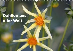 Dahlien aus aller Welt (Wandkalender 2018 DIN A3 quer) von Kiesewetter,  Michael