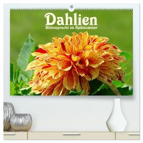 Dahlien – Blütenpracht im Spätsommer (hochwertiger Premium Wandkalender 2024 DIN A2 quer), Kunstdruck in Hochglanz von LianeM,  LianeM