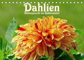 Dahlien – Blütenpracht im Spätsommer (Tischkalender 2023 DIN A5 quer) von LianeM