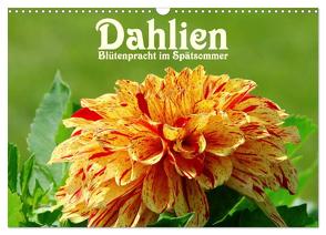 Dahlien – Blütenpracht im Spätsommer (Wandkalender 2024 DIN A3 quer), CALVENDO Monatskalender von LianeM,  LianeM