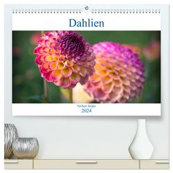 Dahlien – Blumenwunder der Natur (hochwertiger Premium Wandkalender 2024 DIN A2 quer), Kunstdruck in Hochglanz von Stojke,  Norbert