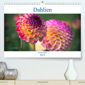 Dahlien – Blumenwunder der Natur (Premium, hochwertiger DIN A2 Wandkalender 2023, Kunstdruck in Hochglanz) von Stojke,  Norbert