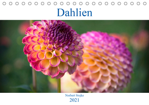 Dahlien – Blumenwunder der Natur (Tischkalender 2021 DIN A5 quer) von Stojke,  Norbert