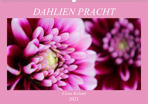 Dahlien Pracht (Wandkalender 2021 DIN A2 quer) von Kalemi,  Elena