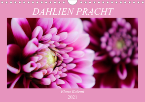 Dahlien Pracht (Wandkalender 2021 DIN A4 quer) von Kalemi,  Elena