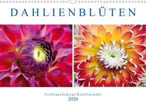 Dahlienblüten – Farbenprächtige Kraftspender (Wandkalender 2020 DIN A3 quer) von Frost,  Anja