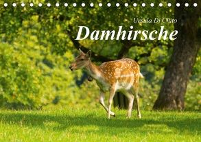 Damhirsche (Tischkalender 2018 DIN A5 quer) von Di Chito,  Ursula